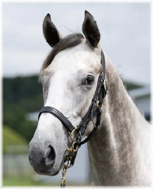 プリミエラムールの2024