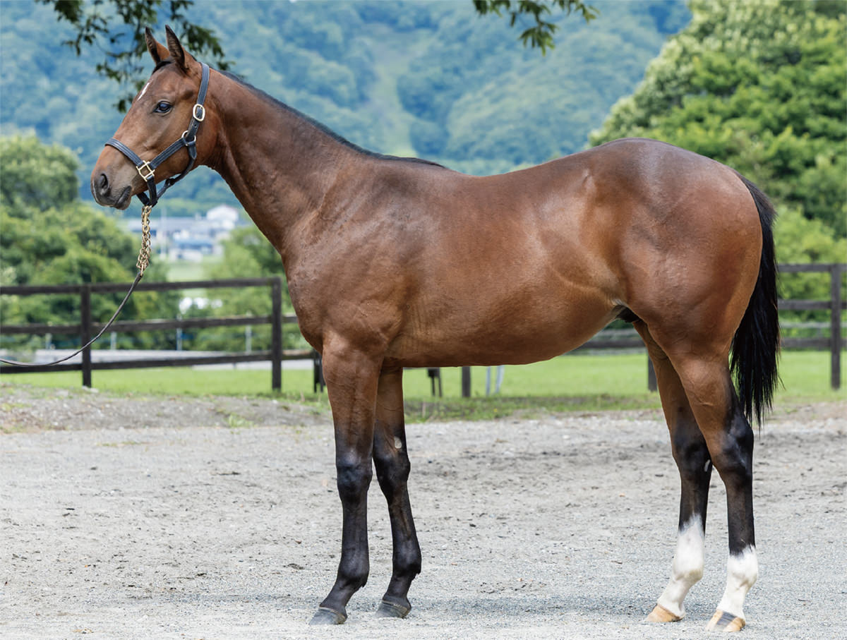 プリンセスヨウクの2024