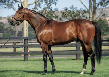 ミッキーアイル