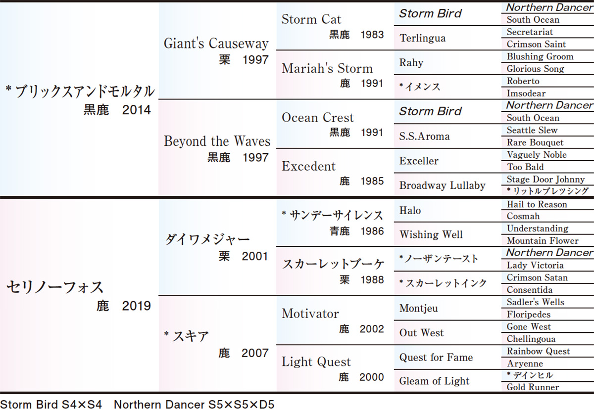 Pedigree - 五代血統表