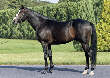 ブリックスアンドモルタル