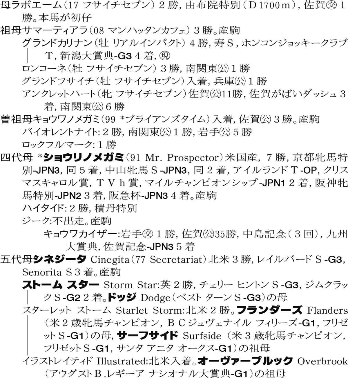 Family Line - 母系