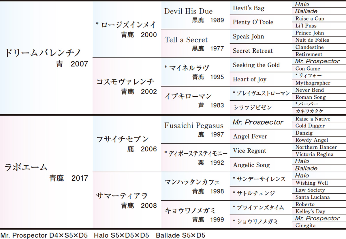 Pedigree - 五代血統表