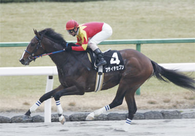 フサイチセブン