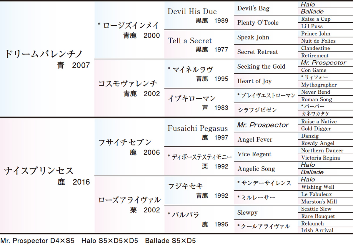 Pedigree - 五代血統表