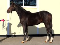 ����å��ǳ��������ɽ�����ޤ�