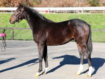 ����å��ǳ��������ɽ�����ޤ�