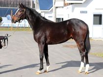 ����å��ǳ��������ɽ�����ޤ�