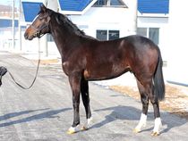 ����å��ǳ��������ɽ�����ޤ�