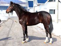 ����å��ǳ��������ɽ�����ޤ�