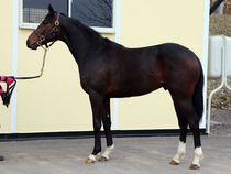 ����å��ǳ��������ɽ�����ޤ�