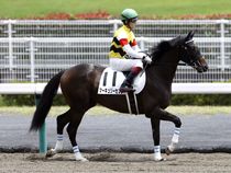 ����å��ǳ��������ɽ�����ޤ�