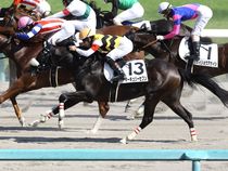 ����å��ǳ��������ɽ�����ޤ�