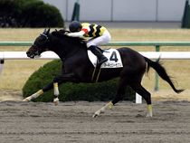 ����å��ǳ��������ɽ�����ޤ�