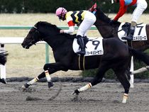 ����å��ǳ��������ɽ�����ޤ�