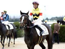 ����å��ǳ��������ɽ�����ޤ�