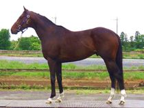 ����å��ǳ��������ɽ�����ޤ�