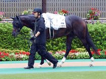 ����å��ǳ��������ɽ�����ޤ�