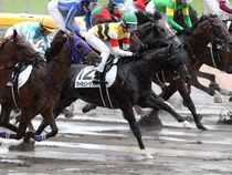 ����å��ǳ��������ɽ�����ޤ�