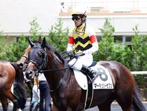 ����å��ǳ��������ɽ�����ޤ�