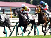 ����å��ǳ��������ɽ�����ޤ�