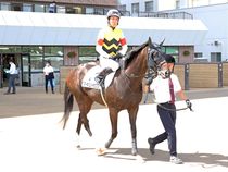 ����å��ǳ��������ɽ�����ޤ�