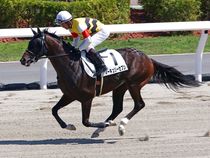 ����å��ǳ��������ɽ�����ޤ�