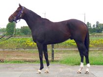 ����å��ǳ��������ɽ�����ޤ�