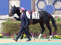 ����å��ǳ��������ɽ�����ޤ�