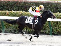 ����å��ǳ��������ɽ�����ޤ�