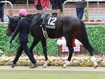 ����å��ǳ��������ɽ�����ޤ�