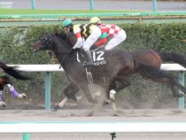 ����å��ǳ��������ɽ�����ޤ�