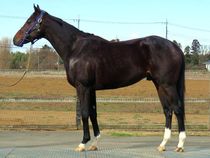 ����å��ǳ��������ɽ�����ޤ�