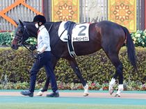 ����å��ǳ��������ɽ�����ޤ�