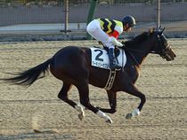 ����å��ǳ��������ɽ�����ޤ�