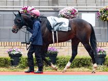 ����å��ǳ��������ɽ�����ޤ�