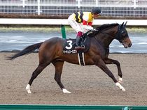 ����å��ǳ��������ɽ�����ޤ�