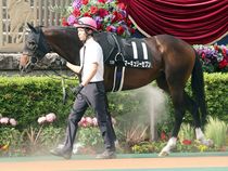 ����å��ǳ��������ɽ�����ޤ�