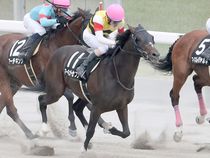 ����å��ǳ��������ɽ�����ޤ�