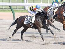 ����å��ǳ��������ɽ�����ޤ�