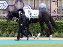 ����å��ǳ��������ɽ�����ޤ�