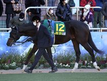 ����å��ǳ��������ɽ�����ޤ�