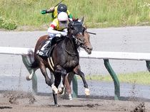 ����å��ǳ��������ɽ�����ޤ�