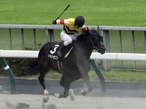 ����å��ǳ��������ɽ�����ޤ�