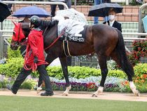 ����å��ǳ��������ɽ�����ޤ�