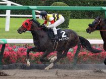 ����å��ǳ��������ɽ�����ޤ�