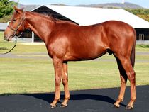 ����å��ǳ��������ɽ�����ޤ�