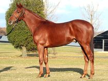 ����å��ǳ��������ɽ�����ޤ�