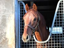 ����å��ǳ��������ɽ�����ޤ�