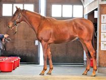 ����å��ǳ��������ɽ�����ޤ�